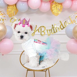 ANIAC Dog Birthday Dress and Hat Set Puppy Lace Tutu Pink Pet Crown Hat with 0-9 Figures Birthday Outfit for Cats Small Dog (White+Pink,X-Large)