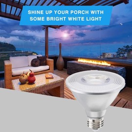 Diodesy- Pack of 4 LED10PAR30S/FL40/930/WD/2 PAR30 LED Short Neck Flood Wet Light Bulb, 10W (75W Incandescent Equiv.), 3000K Soft White, Dimmable, Long Lasting, E26 Security Light for Accent/Tracking