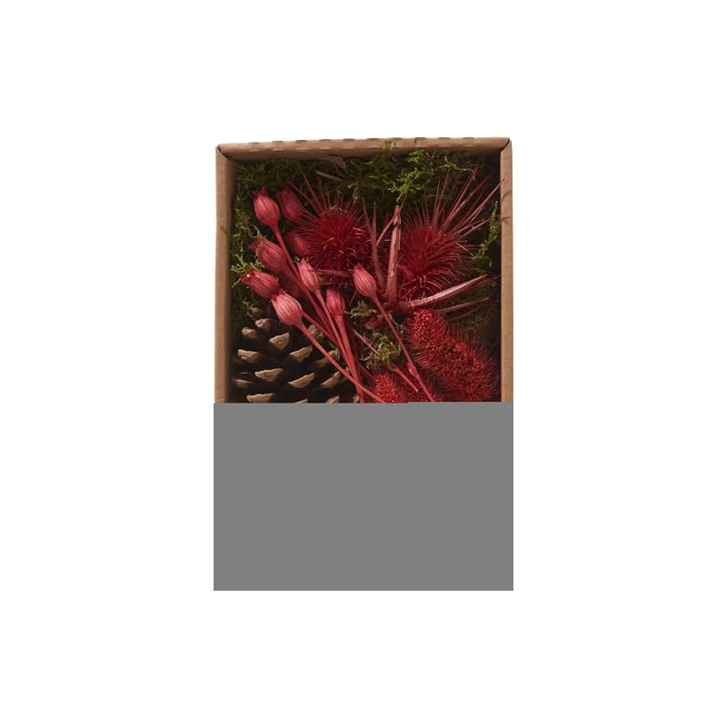 Dried Flower Pot Pourri Set Red