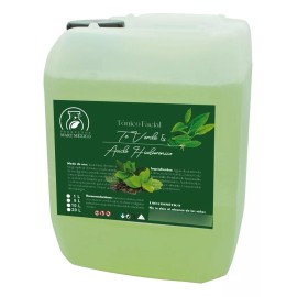 Productos Mart Mexico Tónico Facial De Té Verde & Ácido Hialurónico 5 Lts Tipo De Piel Todo Tipo De Piel