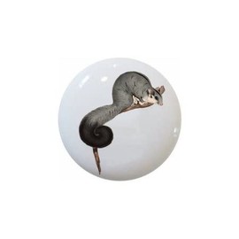 Australian Animals by TGF - DECORATIVE Ceramic Dresser Drawer PULLS Cabinet Cupboard KNOBS (Squirrel Glider)