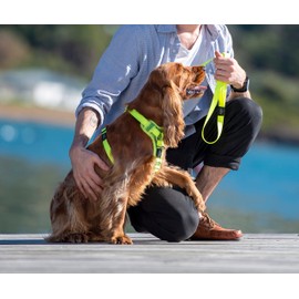 Rogz Utility Control Padded Chest Dog Harness with Two Point Steering Black Extra Large