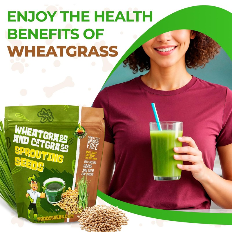 Todd's Seeds Wheatgrass Seeds; Hard Red Winter Wheat, Non-GMO, Chemical