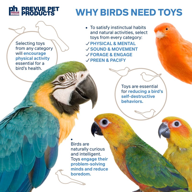 Pervue Pet Products Naturals Physical & Mental Brownie Snack Bird