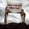 TickleMe Plant Zombie Plant Seed Packets (2) C Grow Your