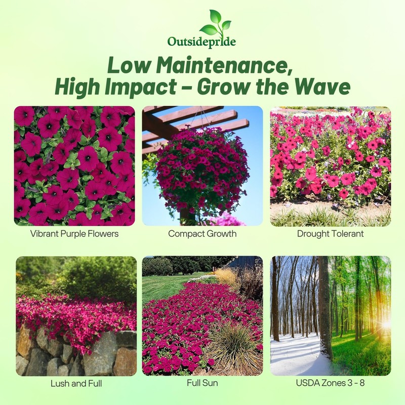 Outsidepride Wave Petunia Seeds - 15 Pcs Annual, Long-Blooming, Classic