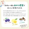FANCL Parent-Child Iron Chewable Tablets (30-90 Days, Prune Flavor)