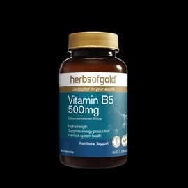 Herbs of Gold Buy Herbs of Gold Vitamin B5 500mg 60 Capsules Online | Chempro Chemists