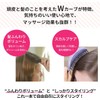 Pula NuWay4Hair DoubleCPro Hair Scalp Brush Japan's First Landing/Professional