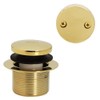 Westbrass 593144-01 Black 1-1/2" Tubular Tip-Toe Bath Waste Drain Kit,