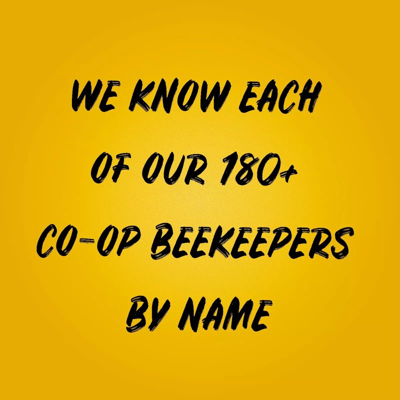 Sue Bee Pure Grade A Honey 40 Ounce Pack All