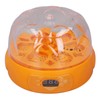 15W Egg Incubator 6 Eggs Digital Mini Fully Automatic Egg