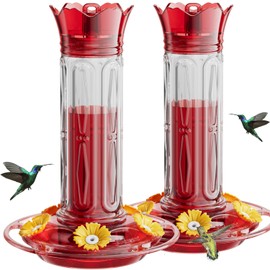 Birdream Hummingbird Feeders for Outdoors Hanging 20 Ounces 10 Feeding Ports, 2 Pack Plastic Humming Bird Feeder with Ant Moat Brush Leak Proof - Red