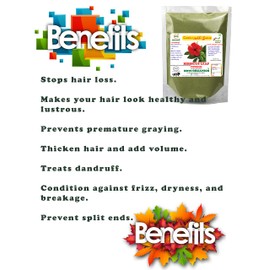 DIETS ORGANICS Hibiscus leaf powder | Sembaruthi powder for hair care-25G pack of 1