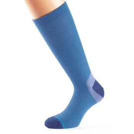 1000 Mile Ultimate Lightweight Walk Sock Double Layer Cornflower LS