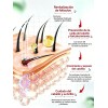 Sérum Crecimiento Cabello Calvicie Favorece Crecimiento 30ml