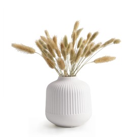 TCIUXYQ Ceramic Vase for Home Decor, White Vases for Dried Flower, Living Room Decoration, Office, Living Room, Kitchen,S