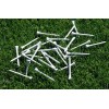 Sunset Birdie - 250 Pack Wood Golf Tees in Bulk
