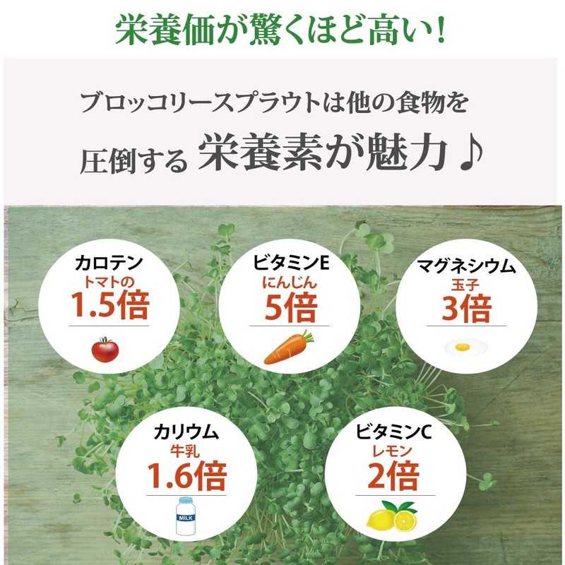 【医師が選ぶ最強食材 ブロッコリースプラウトパウダー 20g（50回分）150日 スルフォラファン サプリ ダイエット 美容 健康 エイジングケア ブロッコリースプラウト