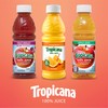 Tropicana 100% Juice 3-flavor Classic Variety Pack,10 Fl Oz (Pack