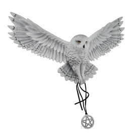 Veronese Design Anne Stokes Awaken Your Magic Snowy Owl with Pentagram Pendant Wall Sculpture