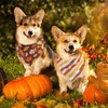 Vehomy 3-Pack Thanksgiving Dog Bandana Pet Turkey Bandanas Reversible Dog