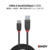 LINDY 0.5m BLACK LINE USB3.2 Gen2 Type-C to Type-A Cable