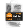 250pk Hardware Assorted Nails Set
