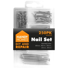 250pk Hardware Assorted Nails Set
