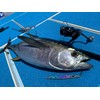 Nature Boys SS1295-02K Swim Rider SHORT Lure, Pink Holo, 10.4