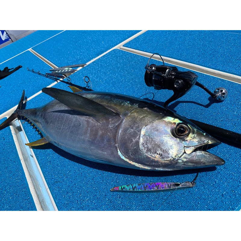 Nature Boys SS1295-02K Swim Rider SHORT Lure, Pink Holo, 10.4