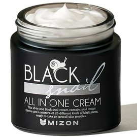 Mizon Black Snail All in One Cream, Elasticity Care and Anti-Wrinkle Facial Cream 75ml 2.53 fl. oz.