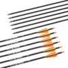 Hunter Ian Archery Carbon Arrow Hunting Arrows 28 Inch with