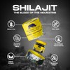 The Chubby Indian The Chubby Indian? Pure Shilajit Resin C