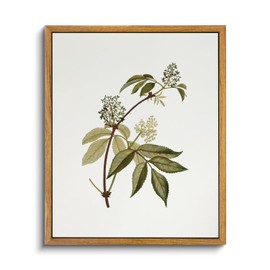 VIYYIEA Framed Vintage Botanical Wall Art Prints Sambucus Racemosa Plant Canvas Wall Art Painting Prints Rustic Farmhouse Wall Decor for Bedroom Living Room Bathroom Pictures 9"x11"