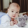 Dimple Baby Elephant Stuffed Animal Toy - Plush Elephant -
