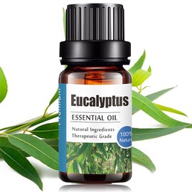 Aceites Esenciales de Pino Aromaterapia - Natural 100% de Aceite Esencial Natural Conjunto de Difusores y Humidificadores con Caja de Regalo Exquisita (UVa Natural, 10 ML) (Pino)