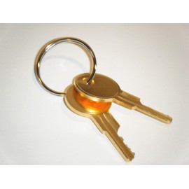 Gas Pump Keys TPX83 Replacement Lock Keys ESP Brand Pre-Cut to Key Code TPX83 with 1" Key Ring