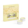 Colony Sparkling Lemon Tealights, Yellow