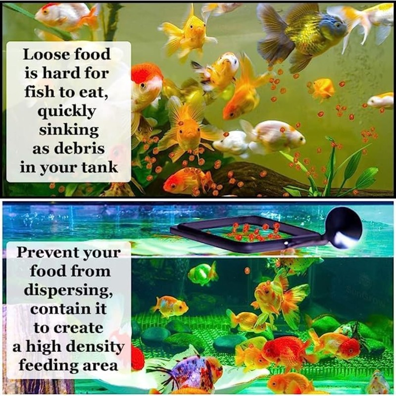 SunGrow 2 Betta Feeding Ring, Prevent Water Turbulence from Washing