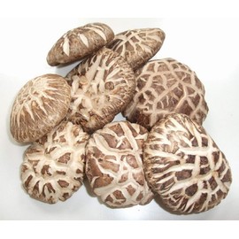 1 LB (16OZ) PREMIUM DRIED TEA COLOR SHIITAKE MUSHROOM