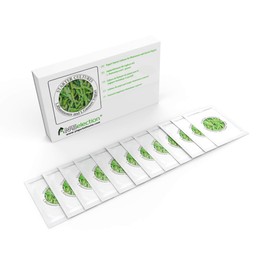 Yogurt Starter Cultures - Pack of 12 Freeze-Dried Sachets for Lactobacillus Rhamnosus and L.Gasseri Yogurt (12 sachets Pack)