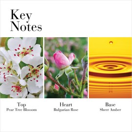 Elizabeth Arden White Tea Wild Rose Body Cream Body Cream - 384 gr