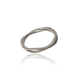 Waveclips Money Clip, Made in Japan, Industrial Spring Supporting State-of-the-Art Technology, Easy to Scissor, High Strength, Lightweight, Easy Installation, Stainless Steel, Men's, Present, Made in