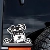 DK339 Cute Miniature Schnauzer Stickers 15 x 11 cm Hide