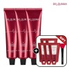 Dr. Qman Premium Type1 Collagen Cream Pack (60g*3+10g*5+Spatula 1) /
