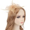 DRESHOW Fascinators Hat Flower Mesh Ribbons Feathers on a Pin