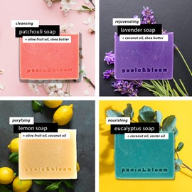 Solid Shower Gel Men & Women Soap Solid Soap Pack of 4 Soaps - with Shea, Olive, Coconut, Essential Oils: Patchouli, Lavender, Lemon, Eucalyptus - Natural Core Soap without Palm Oil