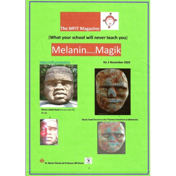 MFIT Magazine: What your school will never teach you.: Melanin