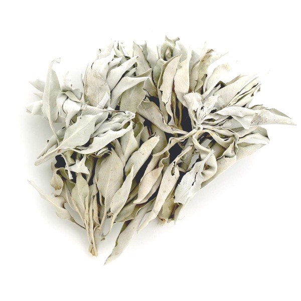 Beaut White Sage, For Purification, Selected On January 30, 2024, No Pesticides, Made in California, Cluster Type (Branched Leaf), 7.1 oz (200 g)